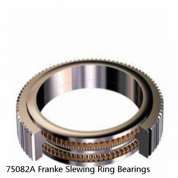 75082A Franke Slewing Ring Bearings #1 image