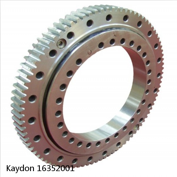 16352001 Kaydon Slewing Ring Bearings #1 image